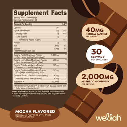 Wellah Wake Up Adaptogenic Mushroom Drink – Mocha, 30 Servings, 40mg Caffeine, 2000mg Mushroom Complex