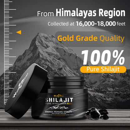 Wellcatcher Pure Himalayan Shilajit Resin – 600mg, 85+ Minerals, 75%+ Fulvic Acid, Energy & Immunity Support, 50 Servings