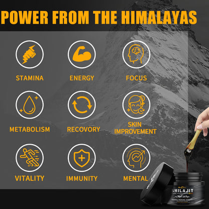 Wellcatcher Pure Himalayan Shilajit Resin – 600mg, 85+ Minerals, 75%+ Fulvic Acid, Energy & Immunity Support, 50 Servings