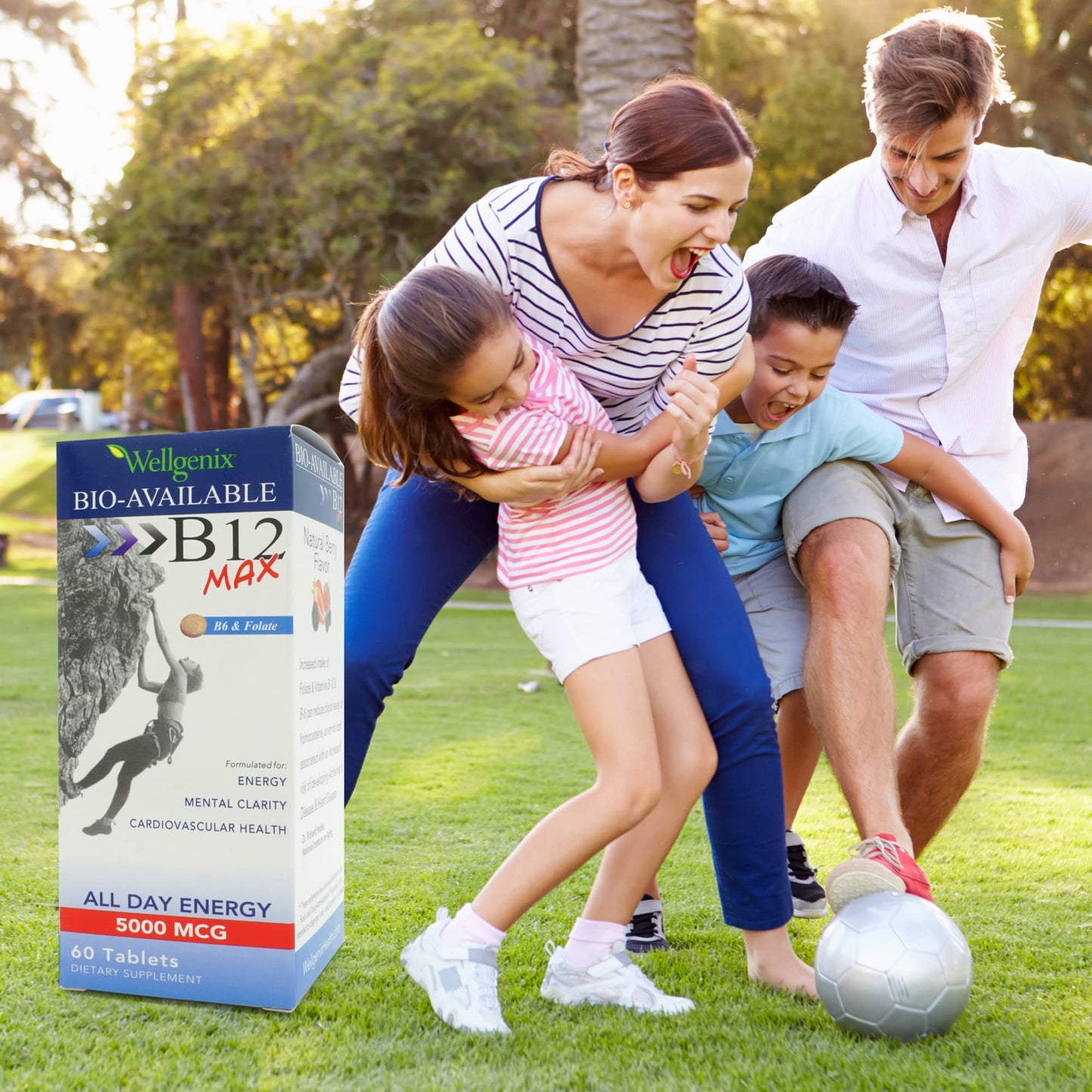 Wellgenix Bio-Available Sublingual B12 Max - High-Absorption B-Complex (60 Ct) 2-Pack