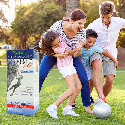 Wellgenix Bio-Available Sublingual B12 Max - High-Absorption B-Complex (60 Ct) 2-Pack