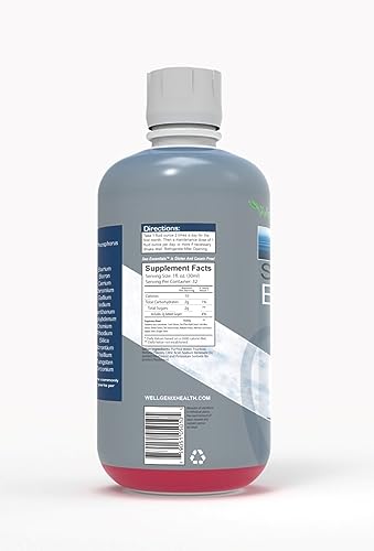Wellgenix Sea Essentials Coral Calcium Liquid Vitamin for High Absorption – Sea Berry Flavor 32 Oz