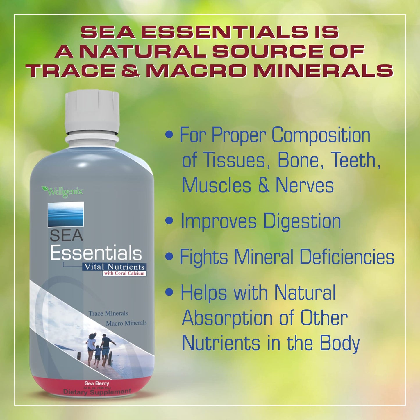 Wellgenix Sea Essentials Coral Calcium Liquid Vitamin for High Absorption – Sea Berry Flavor 32 Oz