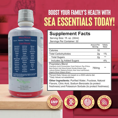 Wellgenix Sea Essentials Coral Calcium Liquid Vitamin for High Absorption – Sea Berry Flavor 32 Oz