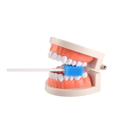 Wellgler's Oral Care Swabs Disposable - Blue (100 Counts)