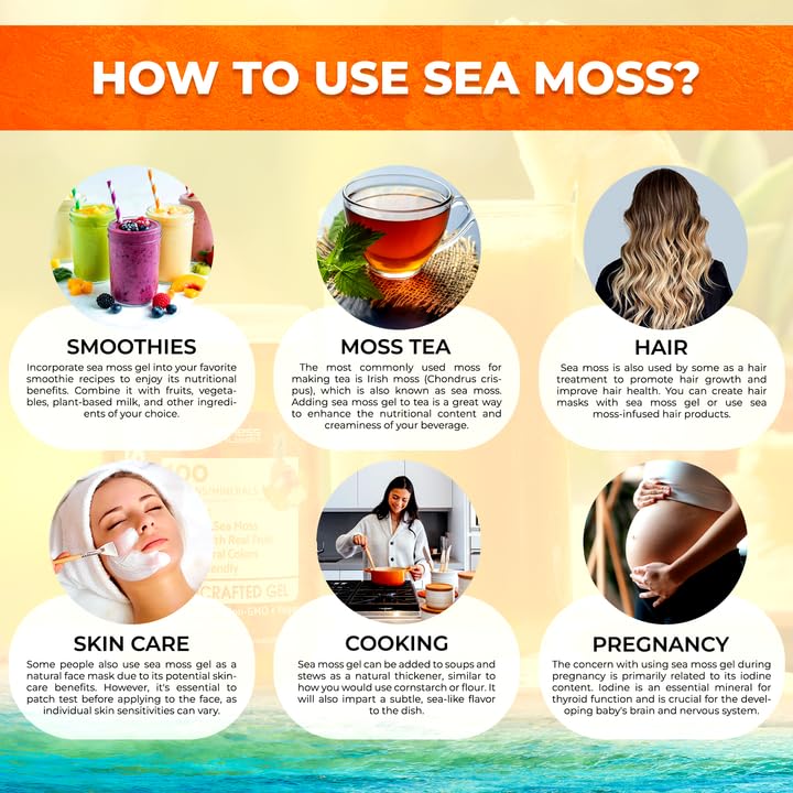 WELLNESS LABSRX Irish Sea Moss Gel Raw - Pineapple Mango Flavor, 10 oz