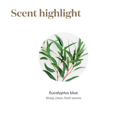 Young Living Eucalyptus Blue Essential Oil – 5 ml | Pure Botanical Extract for Diffusers & Aromatherapy