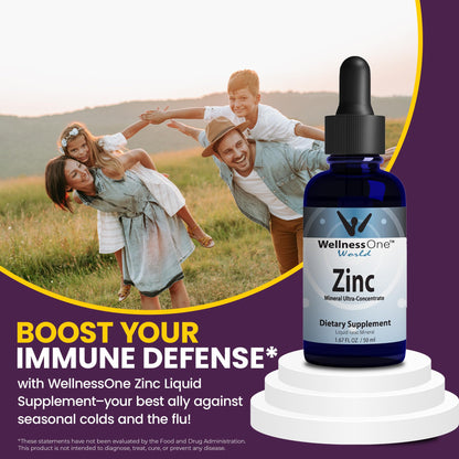WellnessOne Ionic Liquid Zinc Drops - Immunity Support, USA Tested, Vegan & Gluten-Free - 1.67 fl oz