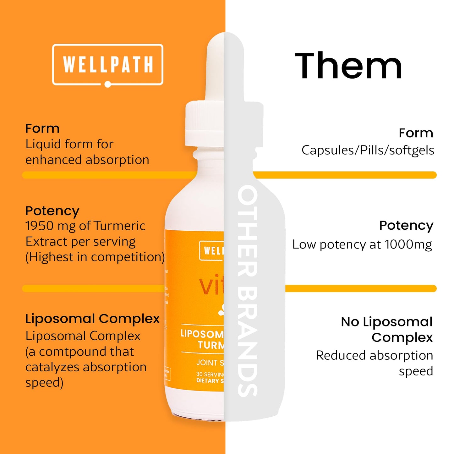 WellPath Liposomal Curcumin | Liquid Turmeric Drops with Black Pepper – Enhanced Absorption | Non-GMO, Vegan | 2 oz