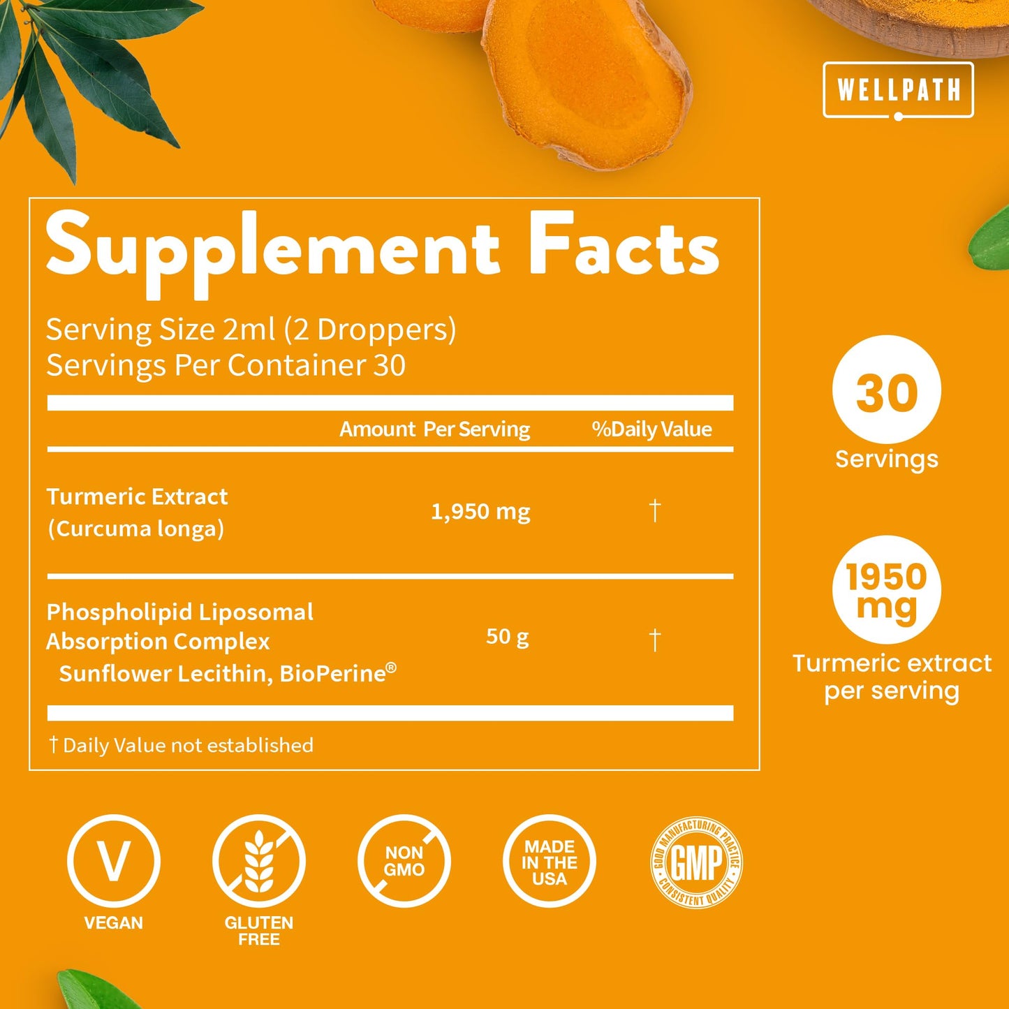WellPath Liposomal Curcumin | Liquid Turmeric Drops with Black Pepper – Enhanced Absorption | Non-GMO, Vegan | 2 oz