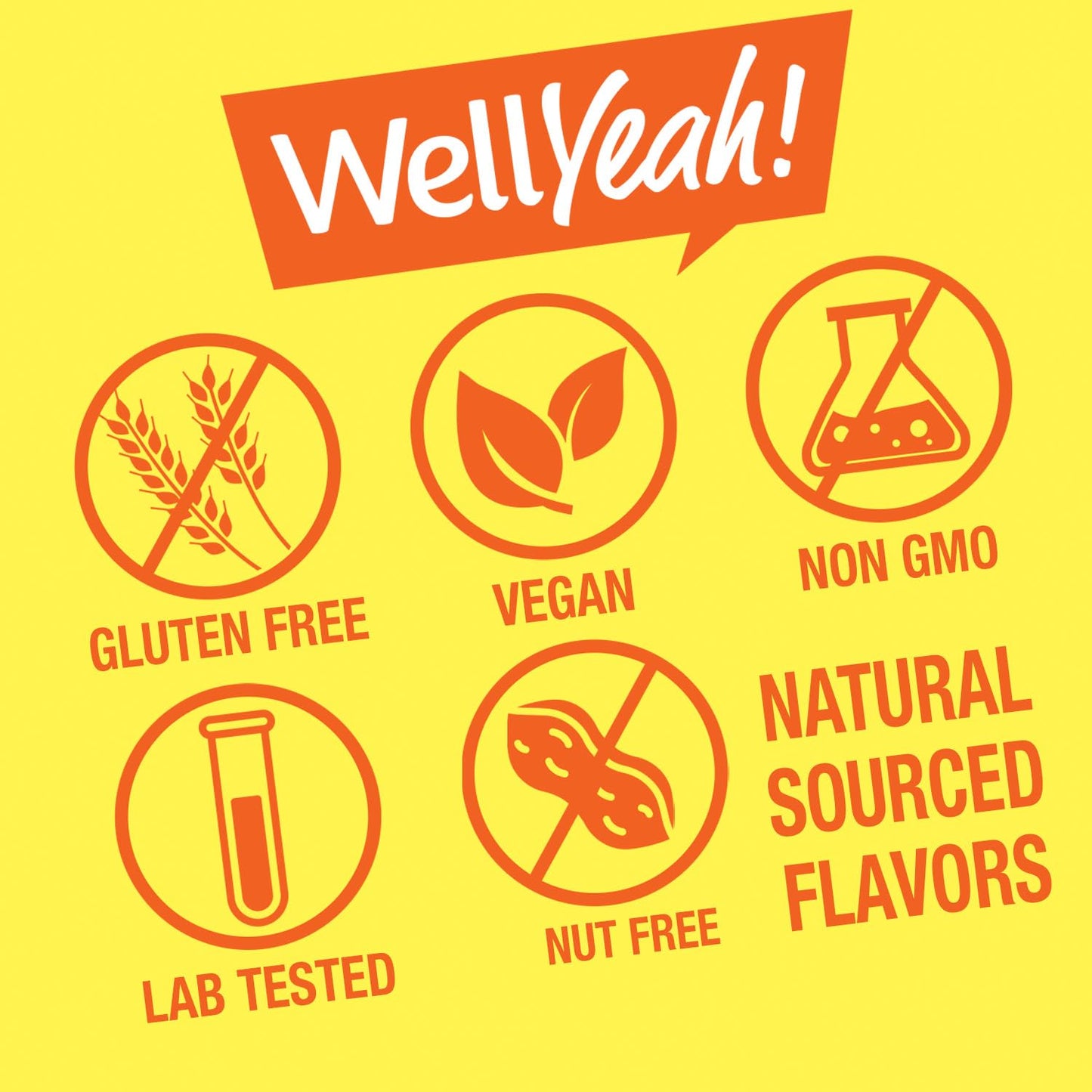 WellYeah Vitamin B12 Gummies for Kids - Berry Flavor, Gluten-Free, Non-GMO