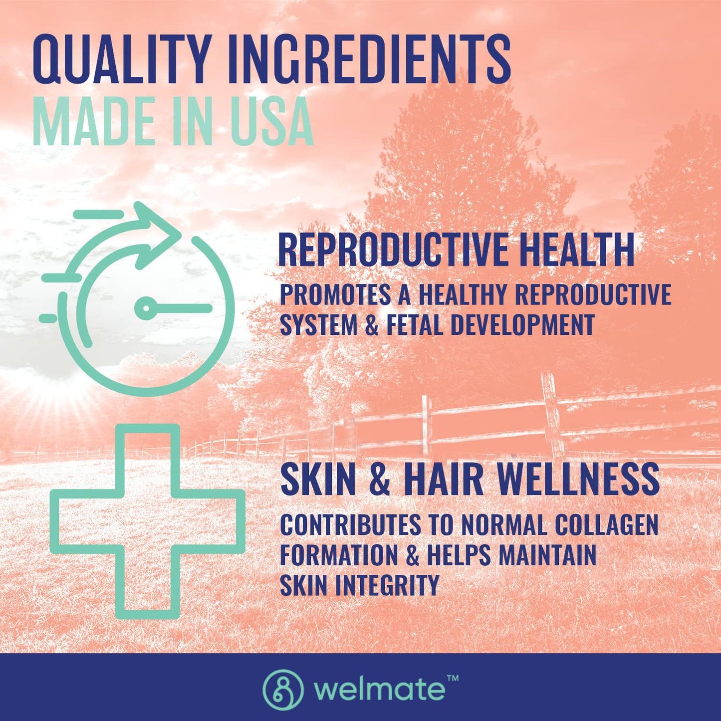 WELMATE Zinc Sulfate 220mg | Immune Support | Dietary Supplement | Made in USA