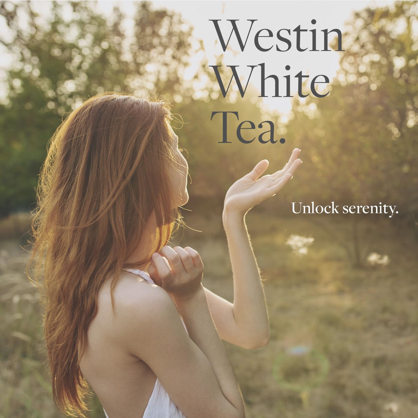 Westin White Tea Diffuser – Home Scent Machine, Hotel-Quality Waterless Fragrance for Large Rooms