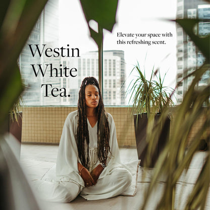 Westin White Tea Diffuser – Home Scent Machine, Hotel-Quality Waterless Fragrance for Large Rooms
