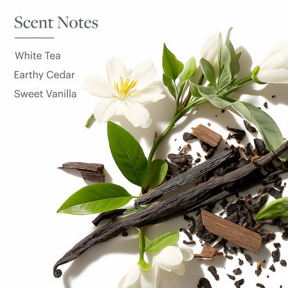 Westin White Tea Diffuser – Home Scent Machine, Hotel-Quality Waterless Fragrance for Large Rooms