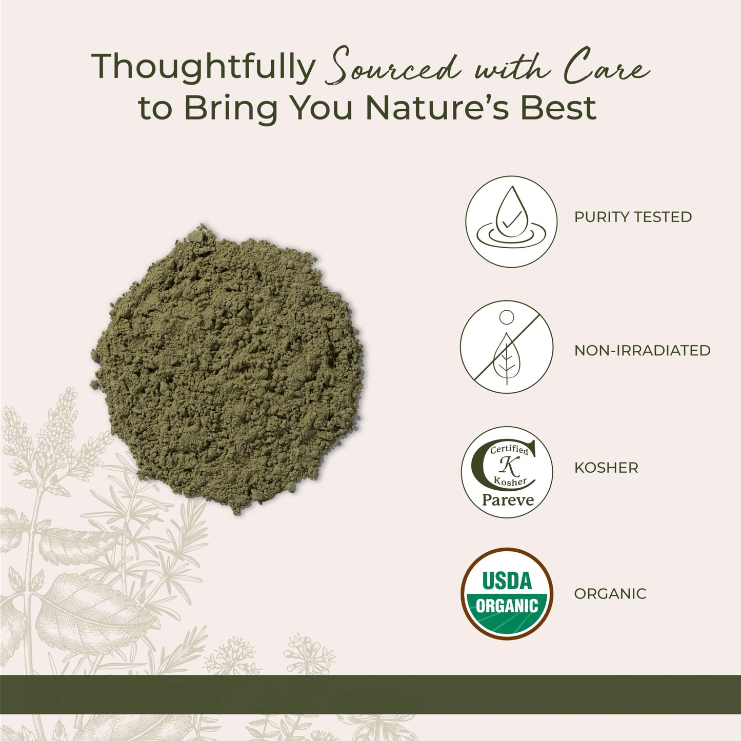Starwest Botanicals Organic Wheat Grass Powder - 1 lb Bag | Kosher & Non-GMO