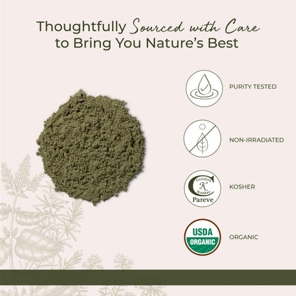 Starwest Botanicals Organic Wheat Grass Powder - 1 lb Bag | Kosher & Non-GMO
