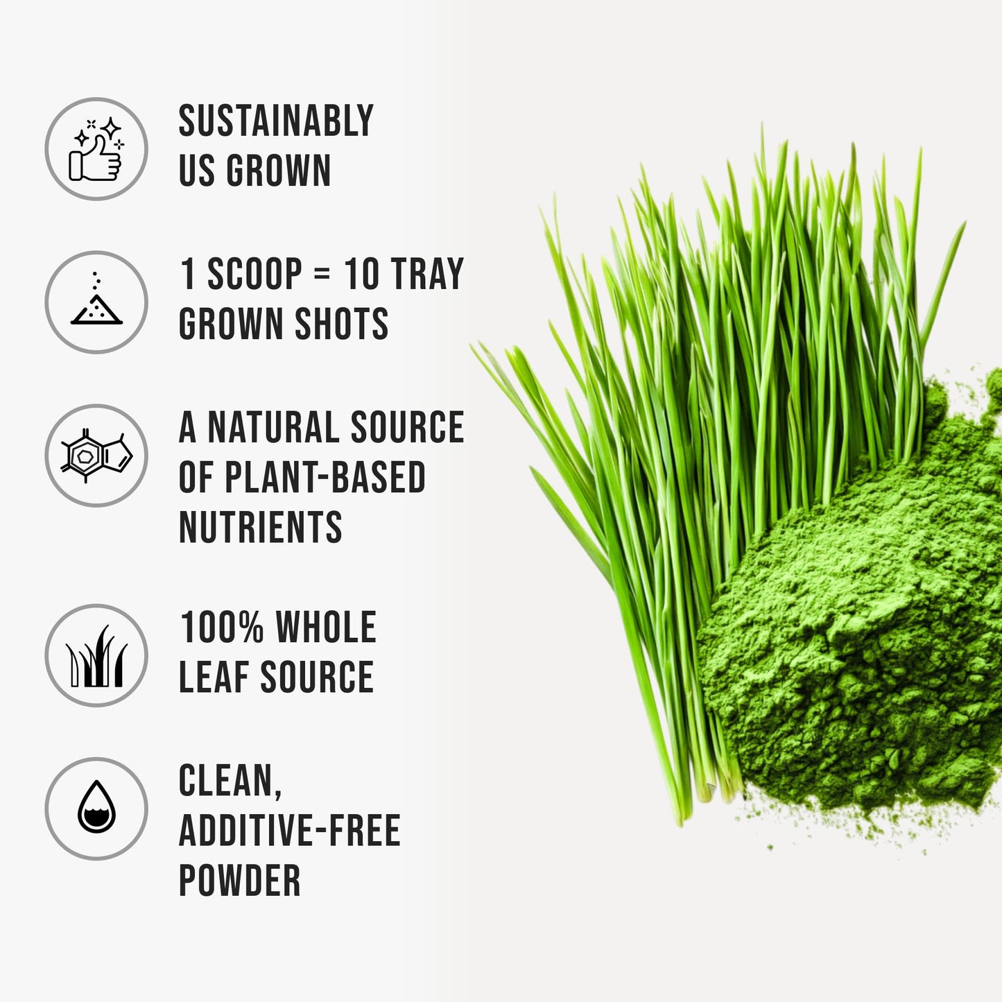 Wheatgrass Powder 100% Pure Whole-Leaf – Gluten Free, Non-GMO, Vegan | 510g
