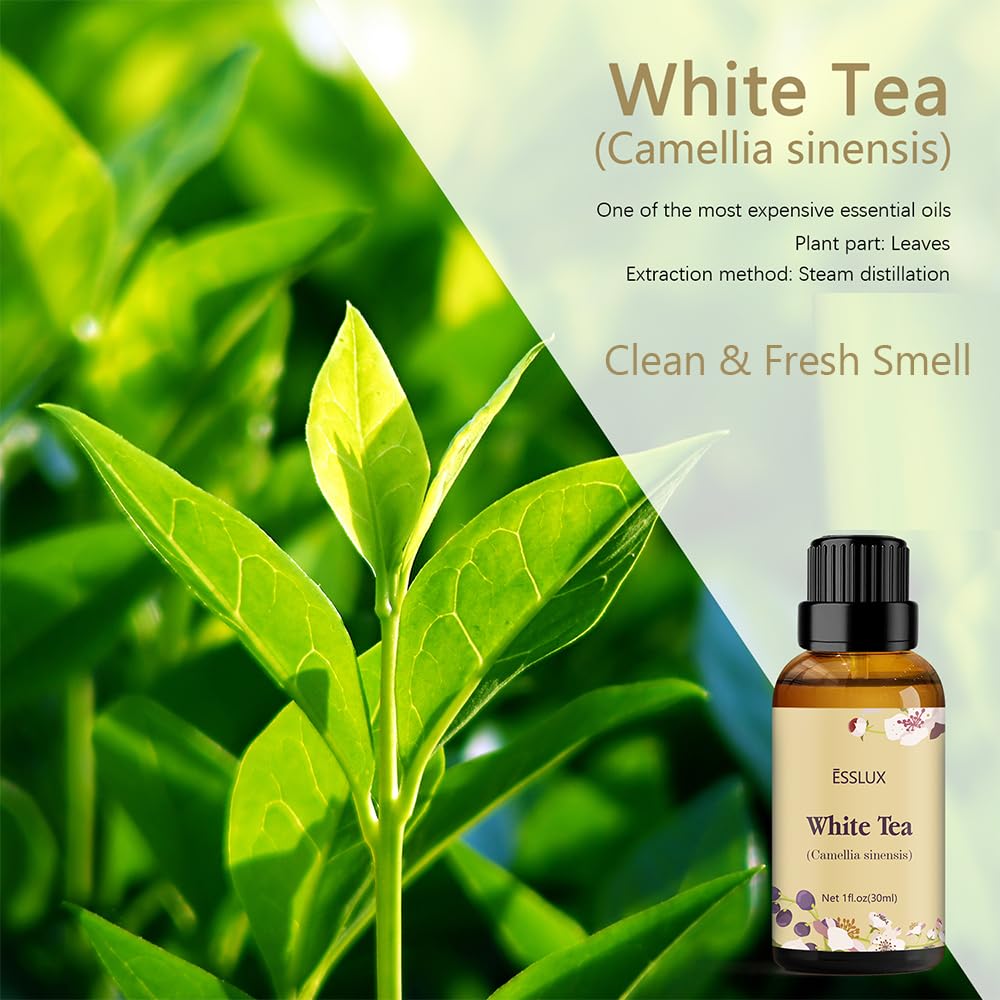 White Tea Essential Oil 30 ml | ESSLUX Aromatherapy - Diffuser & Home Fragrance