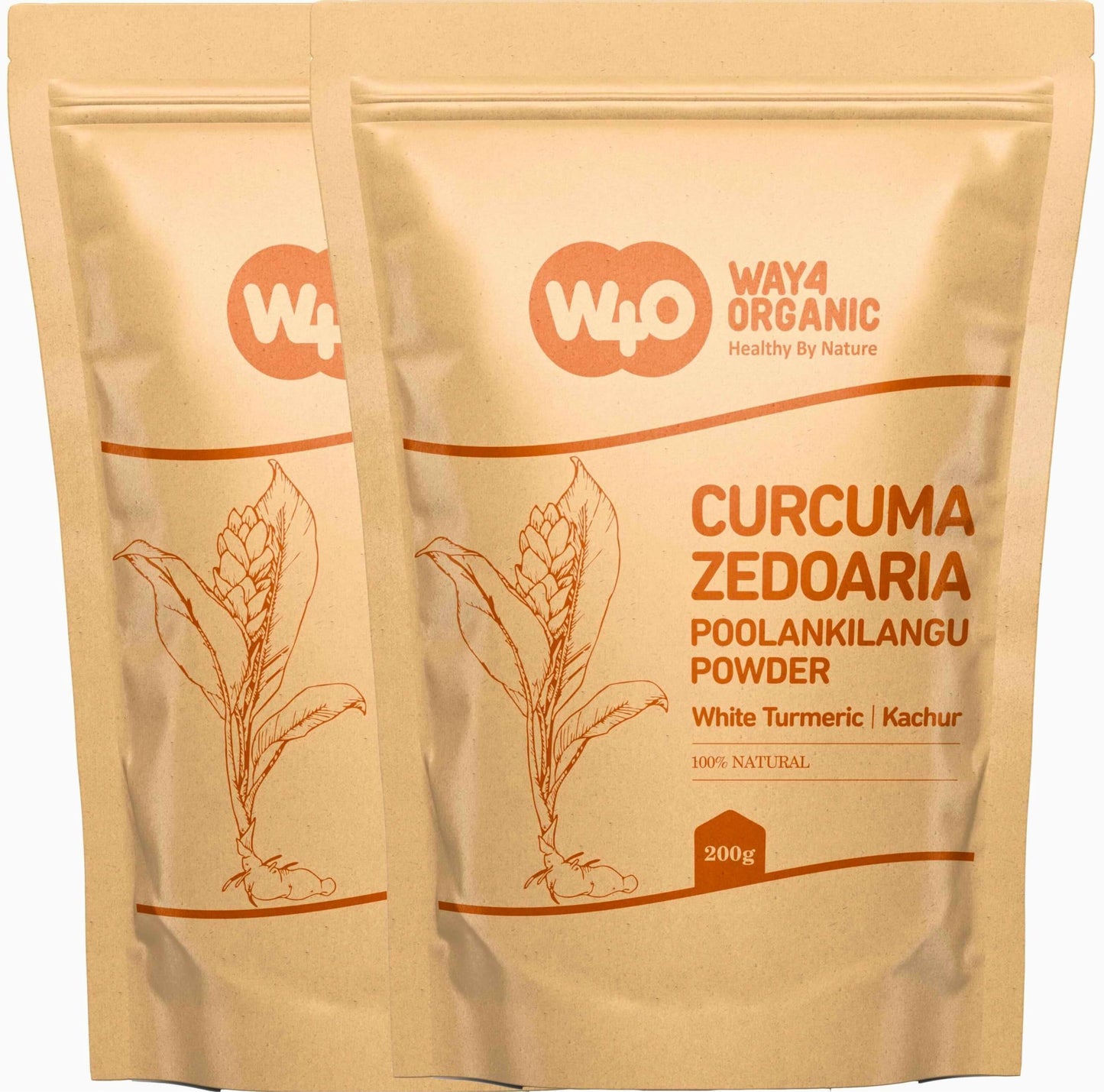 White Turmeric Powder (Poolankilangu, Curcuma Zedoaria, Kachur Root) – Ground 8 oz (226 g) Pack of 2