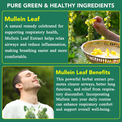 WHLH & Well-Being Mullein Leaf Gummies 2-Pack