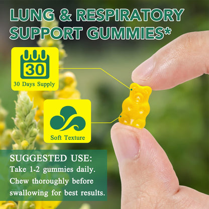 WHLH & Well-Being Mullein Leaf Gummies 2-Pack
