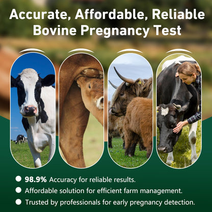 Bovine Pregnancy Test Kit - 2 Tests, Rapid 5-20 Minute Results for Dairy & Beef Cows
