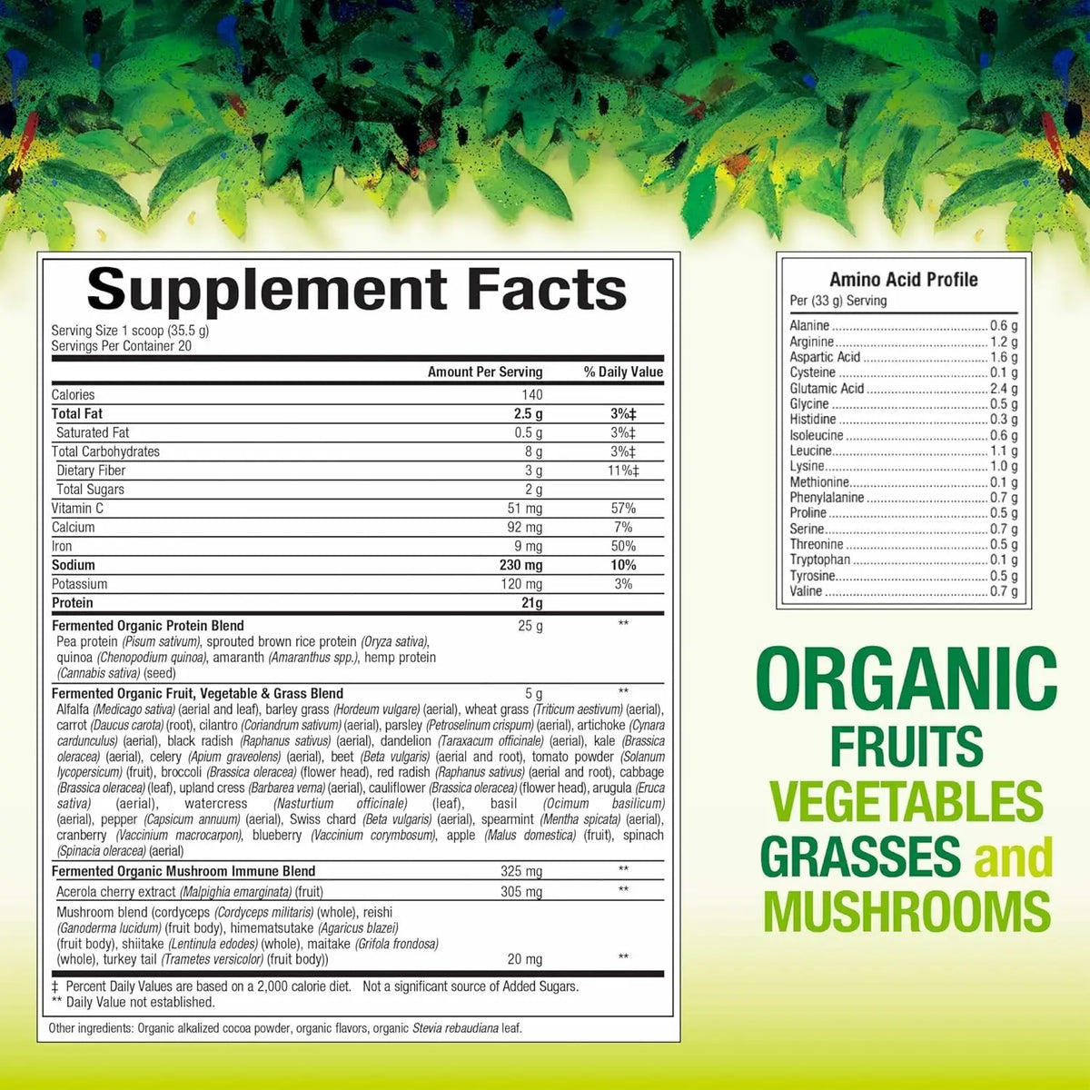 Whole Earth & Sea Organic Fermented Protein & Greens – Vanilla Chai BritishVita | Premium UK Vitamins & Wellness Supplements