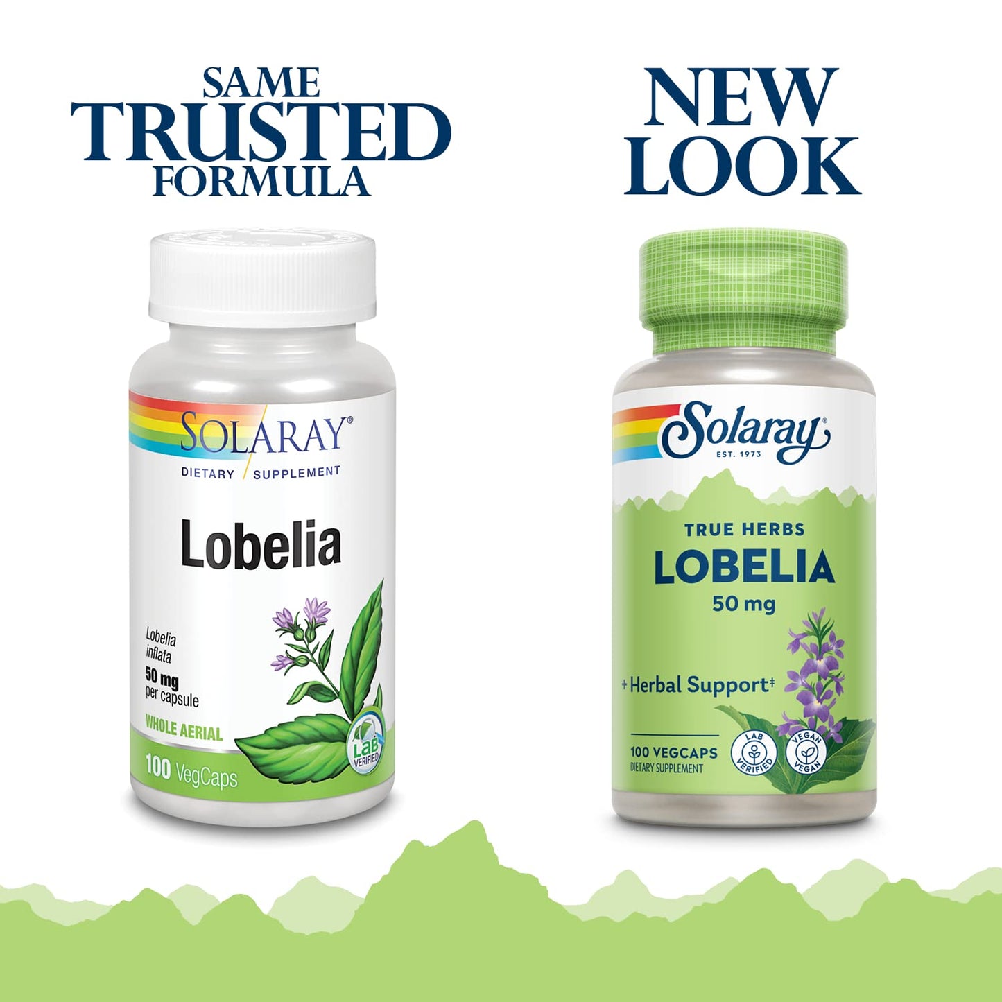 SOLARAY Lobelia Aerial 50mg | Respiratory & Bronchial Support | Ginger Root | Non-GMO & Vegan | 100 VegCaps