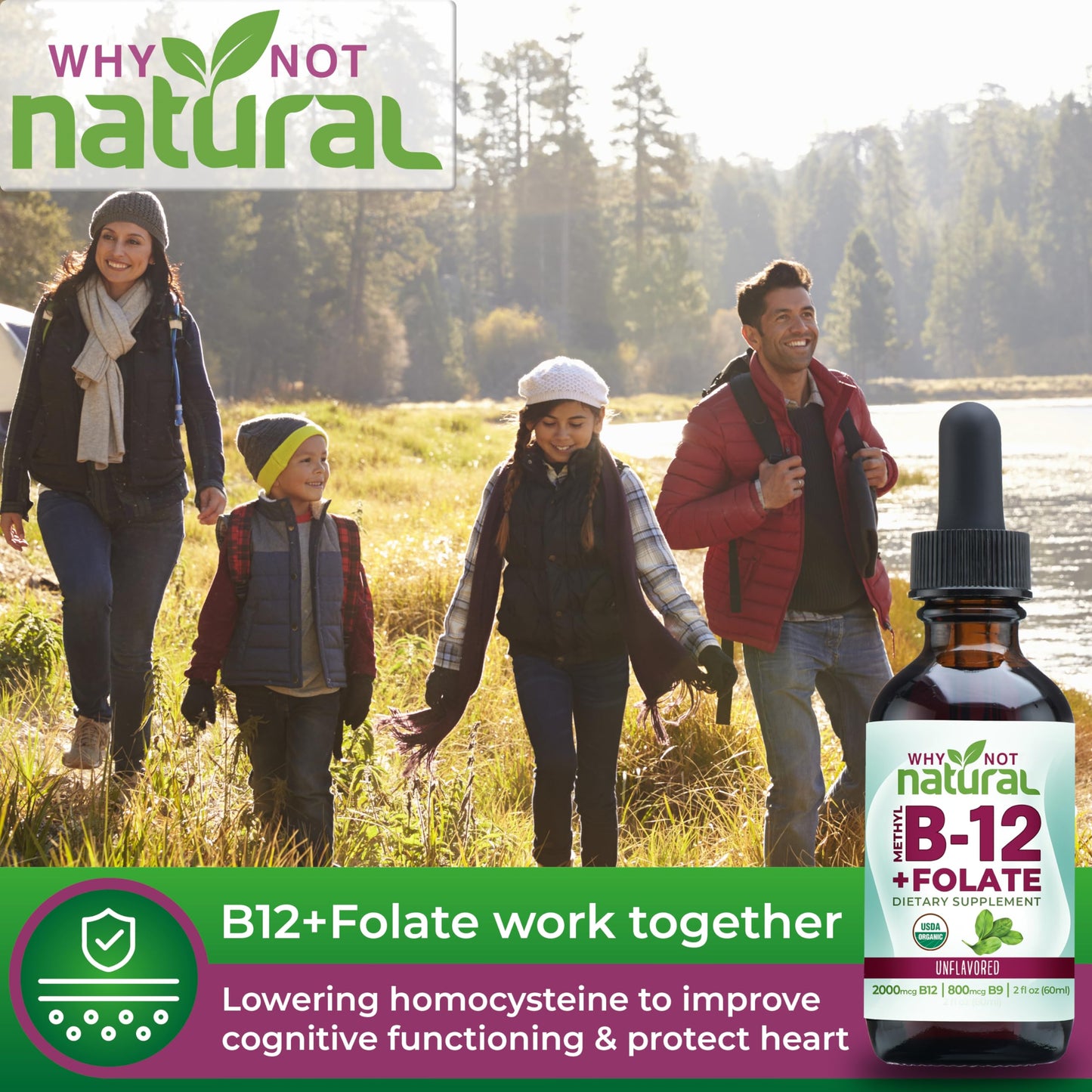 Why Not Natural Vitamin B12 Liquid + Folate - Organic Sublingual Drops, Vegan