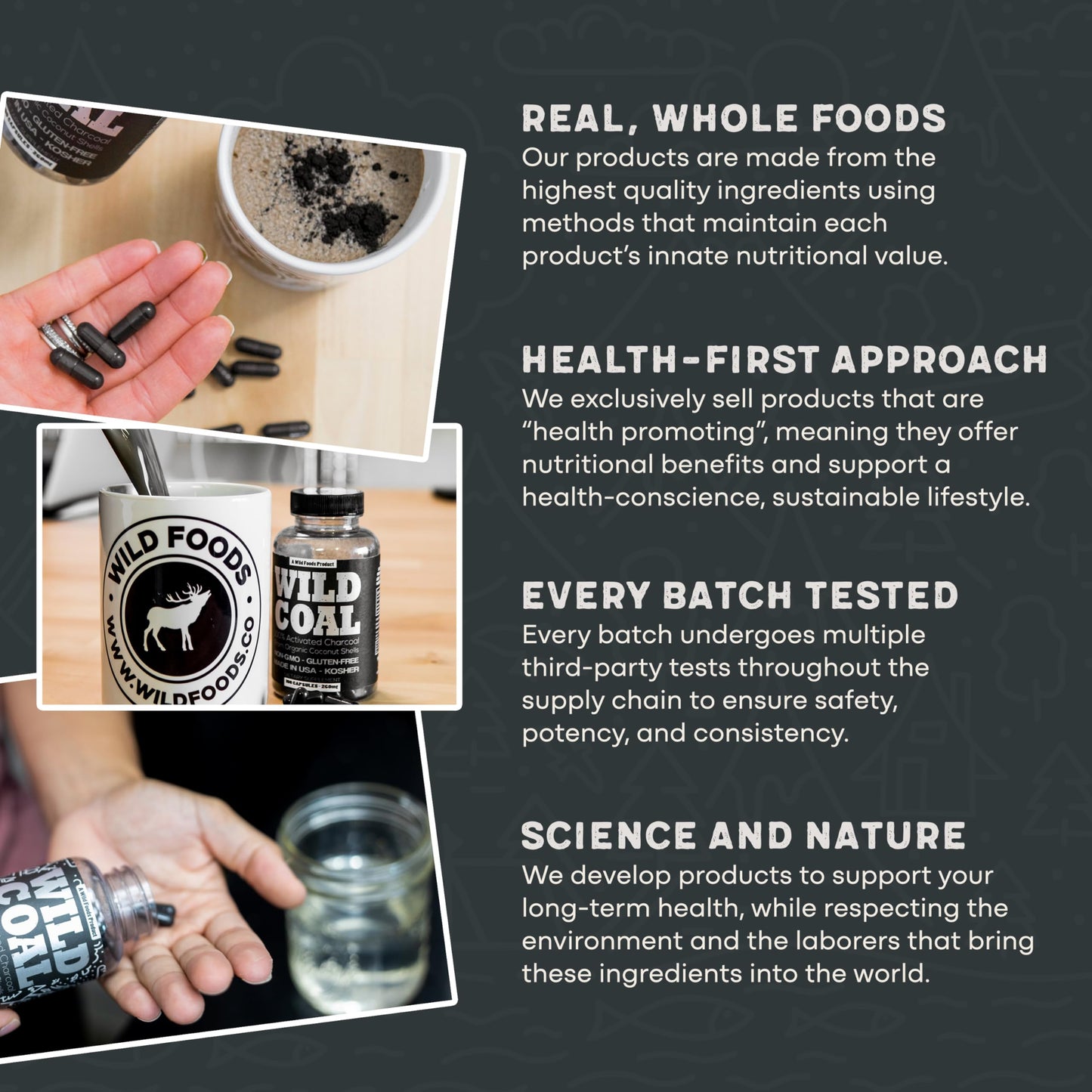 Wild Foods Activated Charcoal Capsules – 120 Capsules (Two Bottles) | Organic Coconut Shells | Lab Tested & Non-GMO | Detox & Bloating Relief | USA