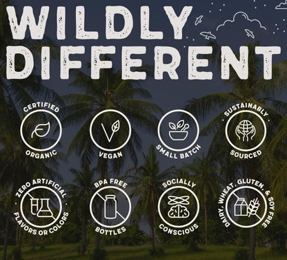 Wild Foods Activated Charcoal Capsules – 120 Capsules (Two Bottles) | Organic Coconut Shells | Lab Tested & Non-GMO | Detox & Bloating Relief | USA
