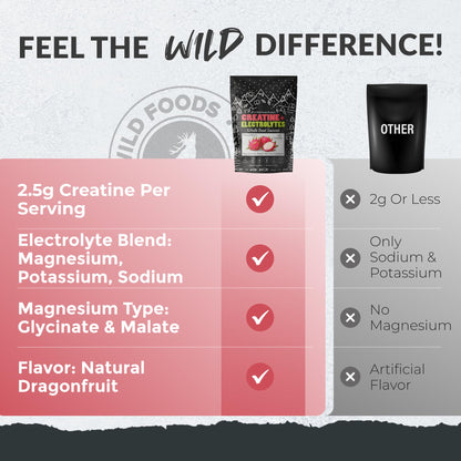 Wild Foods Creatine & Electrolytes Powder Packets – Dragonfruit, 20 Packets | Pre-Workout Hydration & Performance