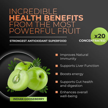 Amla Green 20x Concentrated Amla Powder with Pumpkin Spice – 90 Servings BritishVita | Premium UK Vitamins & Wellness Supplements