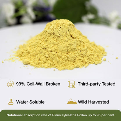 ECO-TASTE Pine Pollen Powder 6 oz | Wild Harvested Pinus Tabuliformis, 99% Cracked Cell Wall