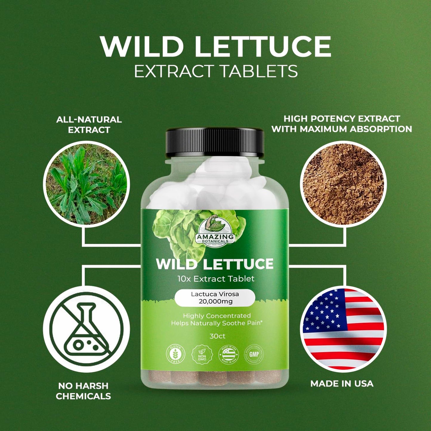 Wild Lettuce Extract Tablets 10X 2000MG – Sleep Support | Lactuca Virosa