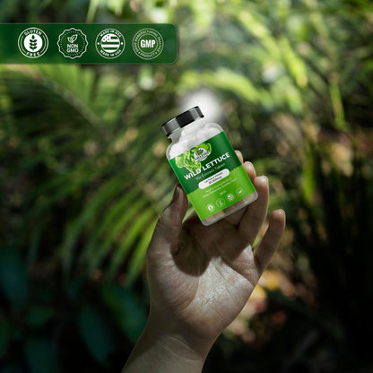Wild Lettuce Extract Tablets 10X 2000MG – Sleep Support | Lactuca Virosa