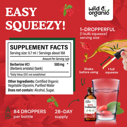Wild & Organic Berberine Liquid Drops – 500mg Berberine Supplement HCL – Vegan, Alcohol-Free & Sugar-Free – 2 fl oz