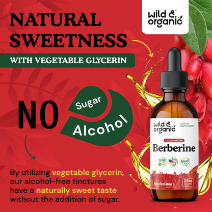 Wild & Organic Berberine Liquid Drops – 500mg Berberine Supplement HCL – Vegan, Alcohol-Free & Sugar-Free – 2 fl oz