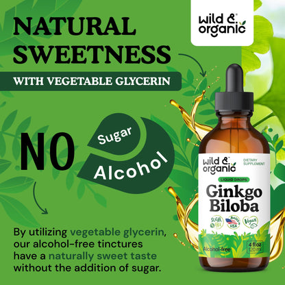 Wild & Organic Ginkgo Biloba Drops – Brain & Focus Support | 4 fl oz | Vegan, Alcohol-Free