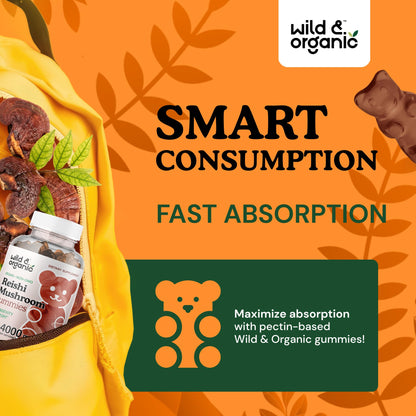 Wild & Organic Reishi Gummies 1000 mg | Ganoderma Lucidum Extract | Immune Support - 60 Vegan Chews