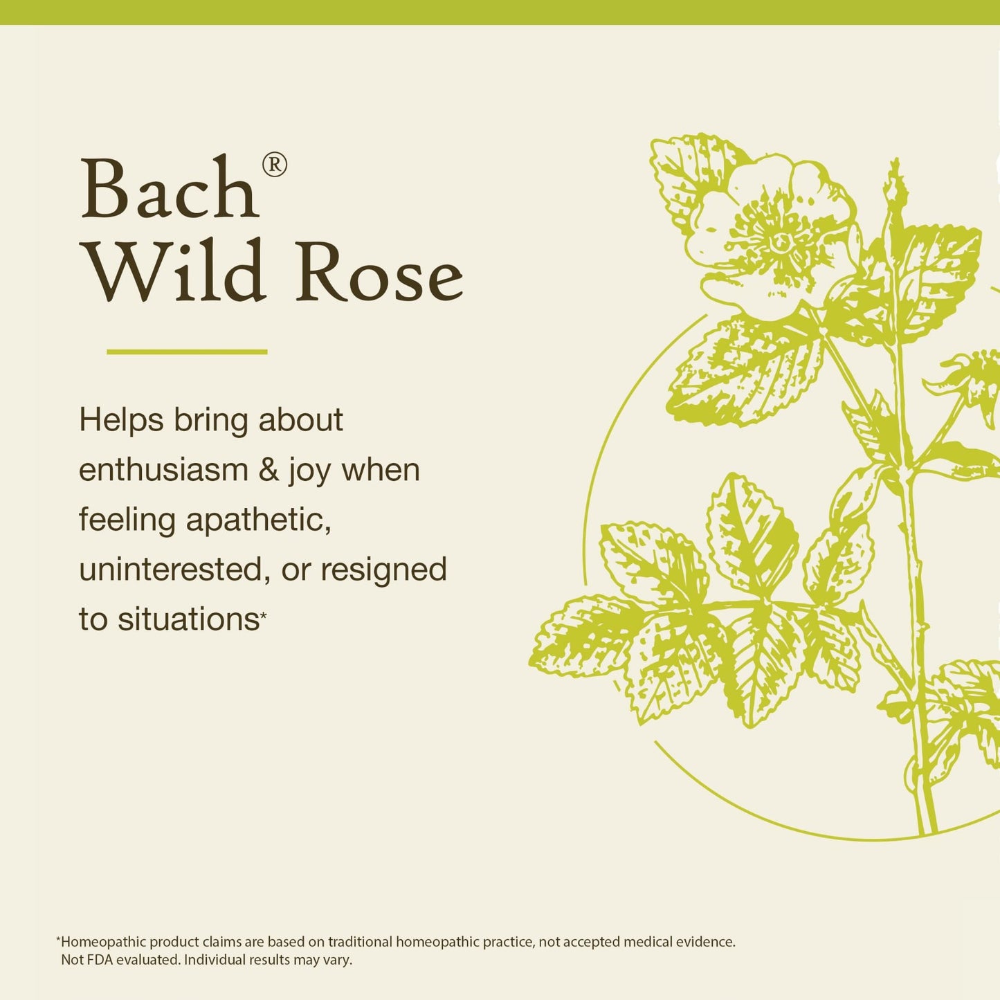 Bach Original Flower Remedies: Wild Rose - Show Enthusiasm | 20mL Dropper