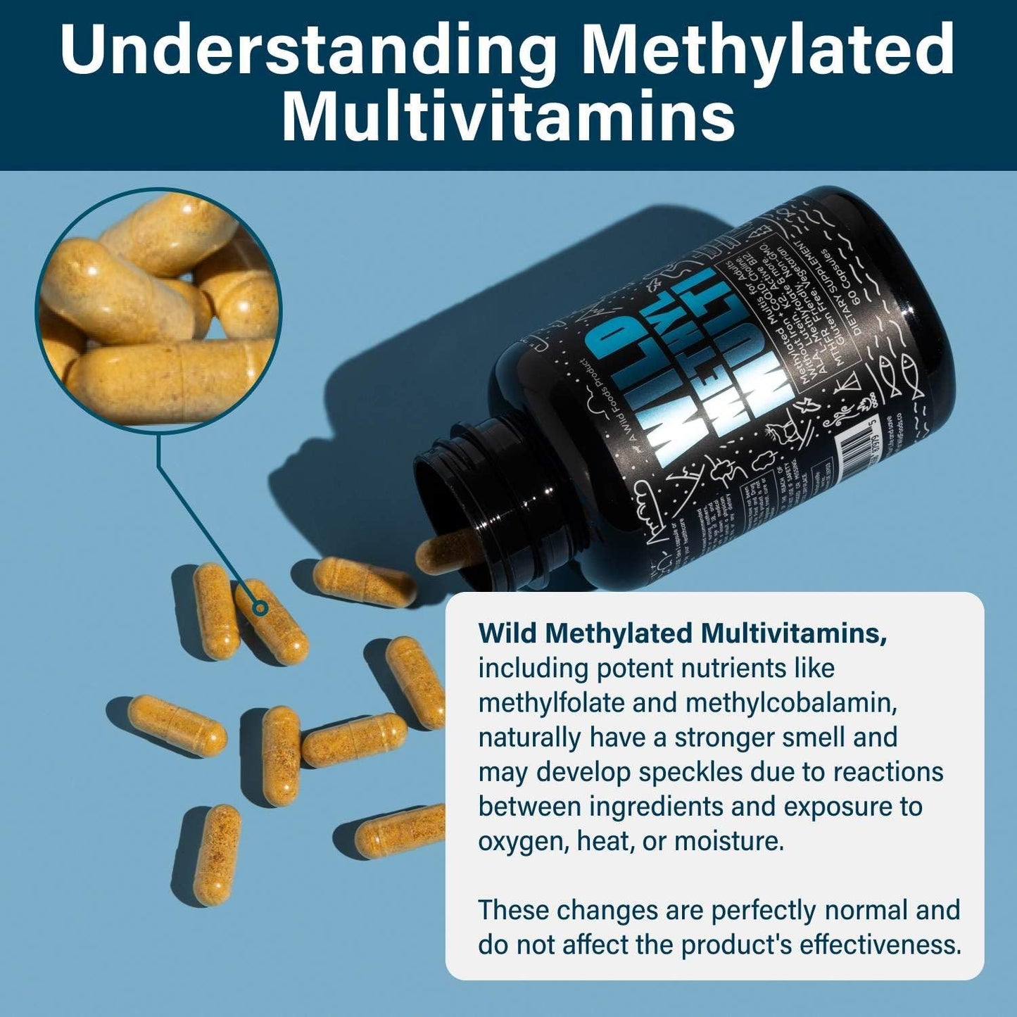 Wild Foods Methylated Multivitamin for Men & Women - Iron-Free Daily Multi with Methyl B12, Folate, A, D, K2, CoQ10 (Pack of Two)