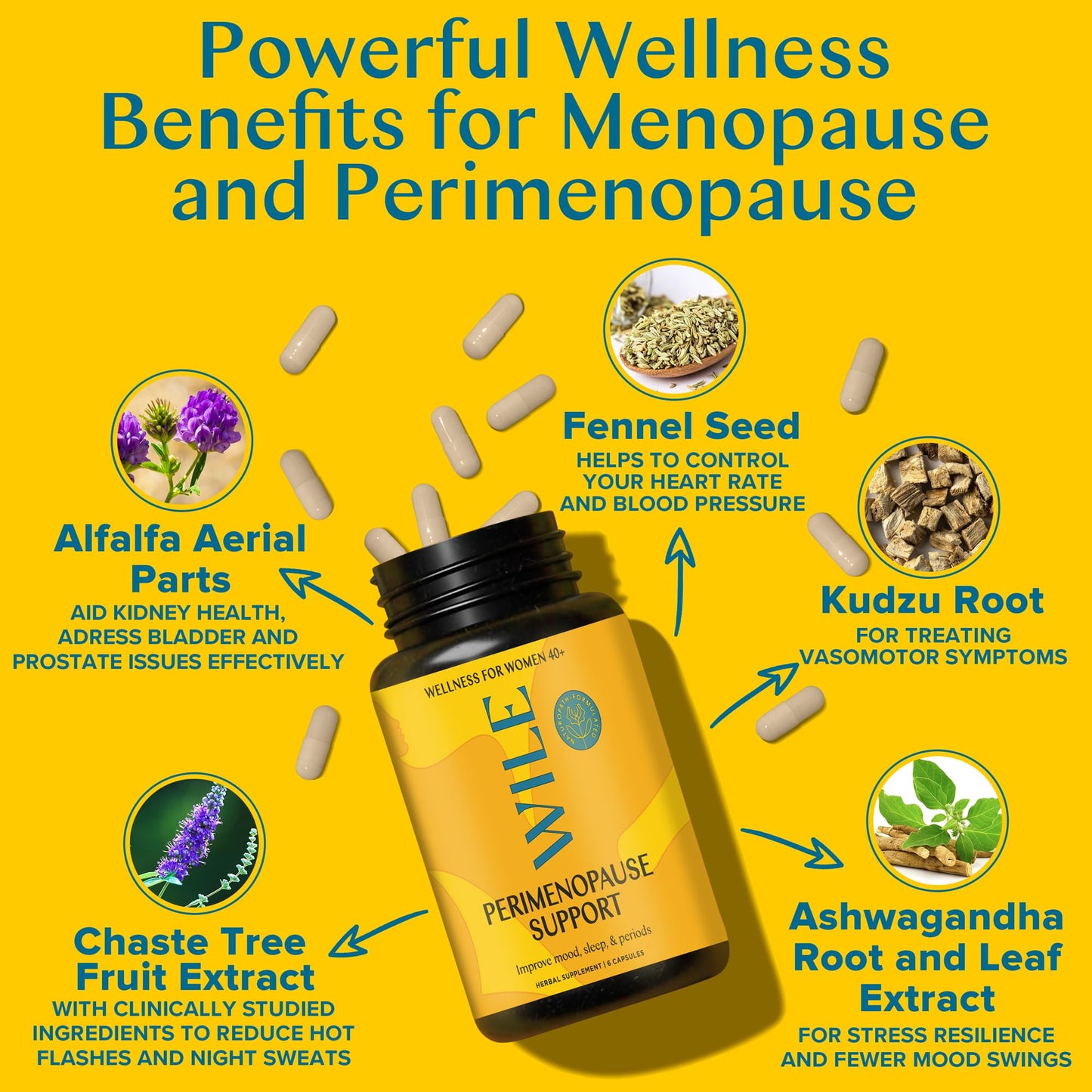 WILE Menopause & Perimenopause Supplements with Ashwagandha — Sleep, Hot Flashes & Stress Support | Vegan, 30 Servings