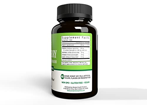 Windmill Elderberry Capsules with Vitamin C & Echinacea – 60 Count