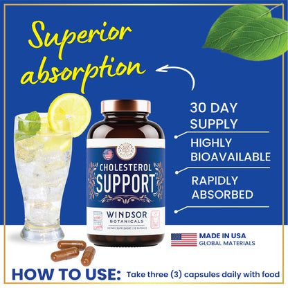 Windsor Botanicals Cholesterol Supplement – Bergamot, Berberine & Niacin | 90 Vegan Capsules