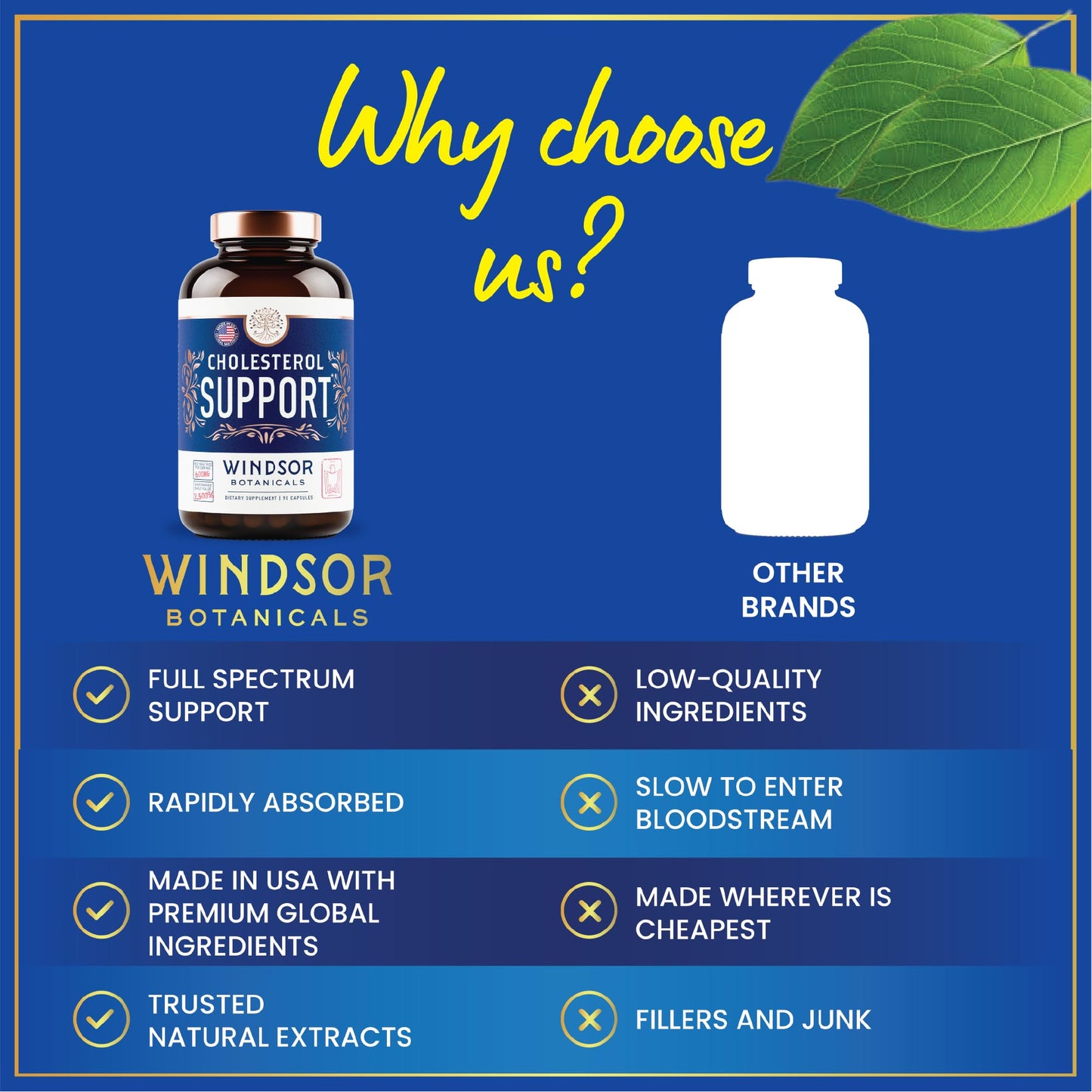 Windsor Botanicals Cholesterol Supplement – Bergamot, Berberine & Niacin | 90 Vegan Capsules