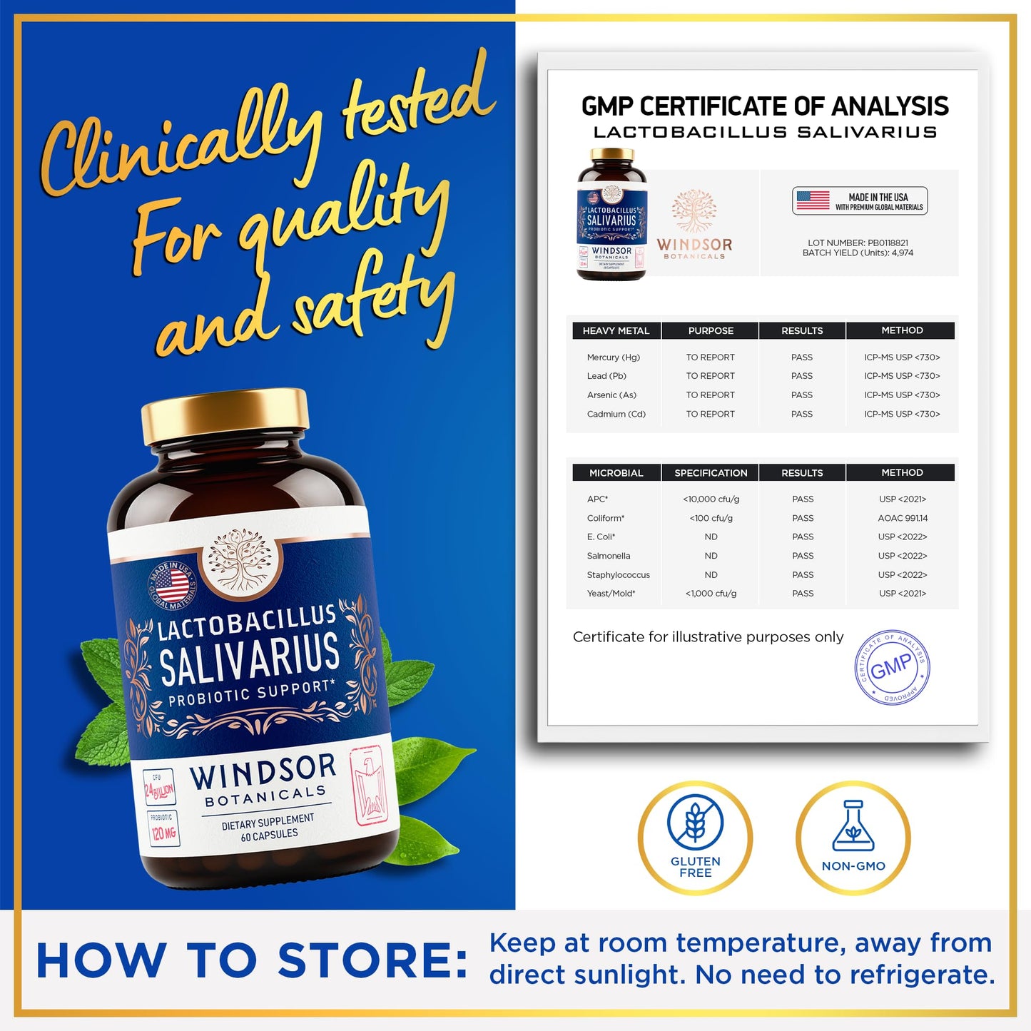 WINDSOR BOTANICALS Lactobacillus Salivarius Probiotic Capsules – 24bn CFU, 2-Pack, 120 Caps | Oral Health & Immune Support