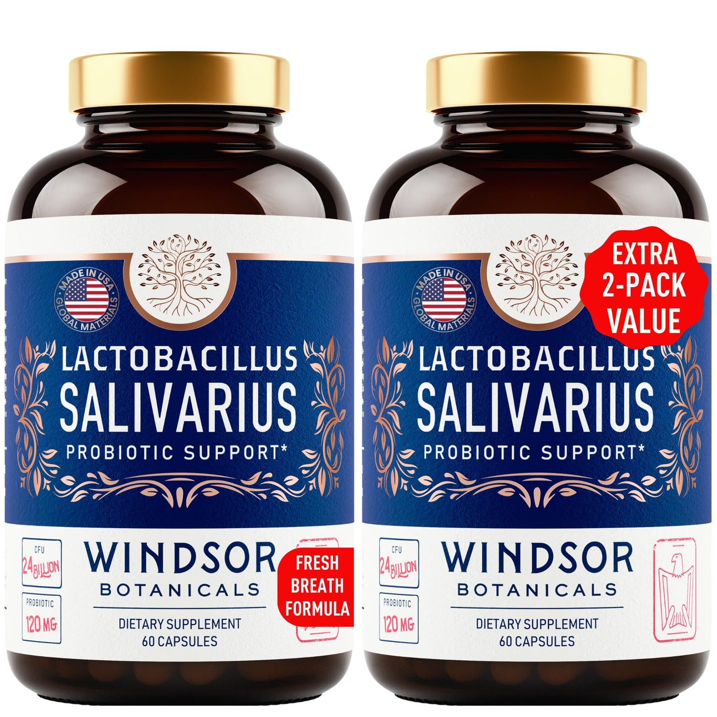 WINDSOR BOTANICALS Lactobacillus Salivarius Probiotic Capsules – 24bn CFU, 2-Pack, 120 Caps | Oral Health & Immune Support