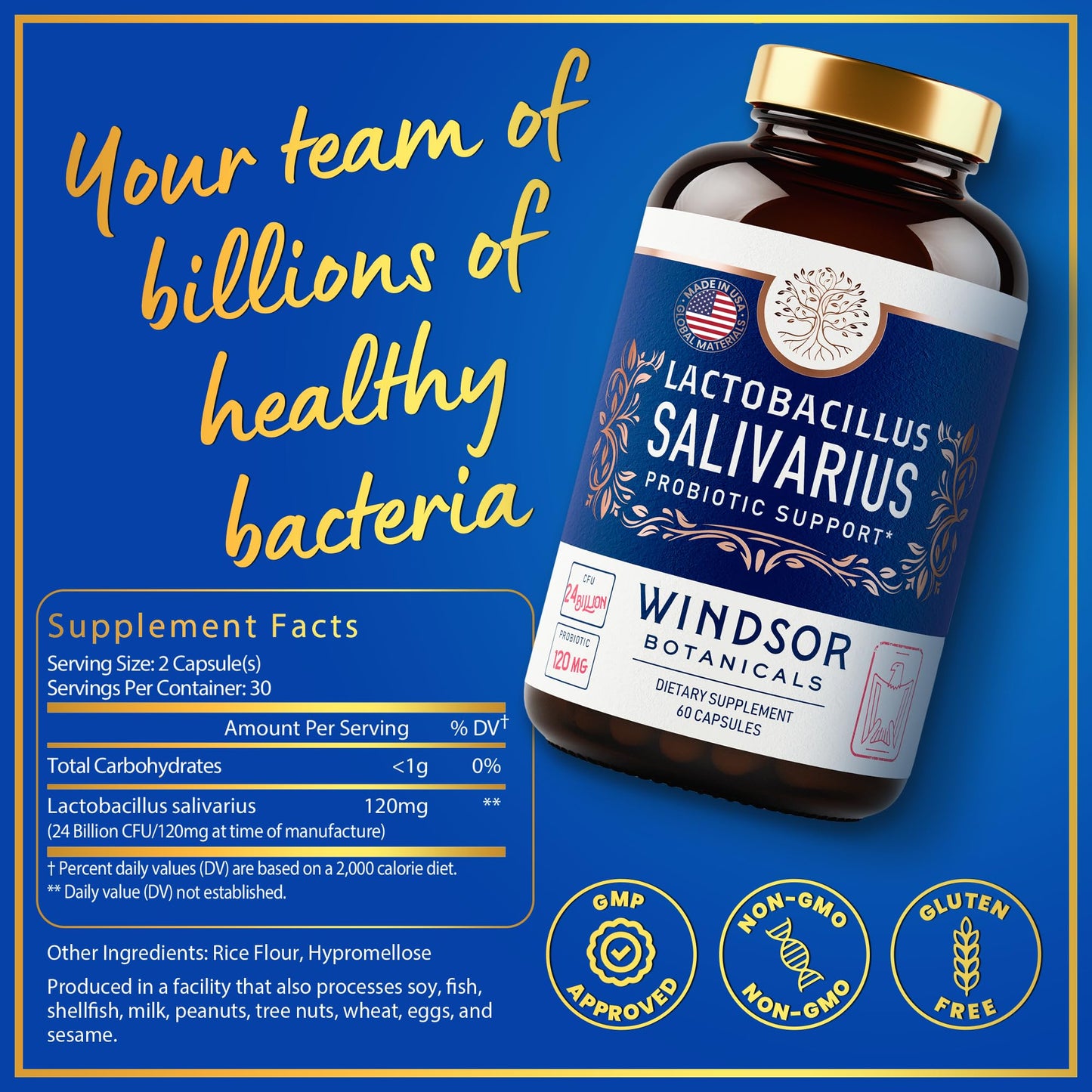 WINDSOR BOTANICALS Lactobacillus Salivarius Probiotic Capsules – 24bn CFU, 2-Pack, 120 Caps | Oral Health & Immune Support